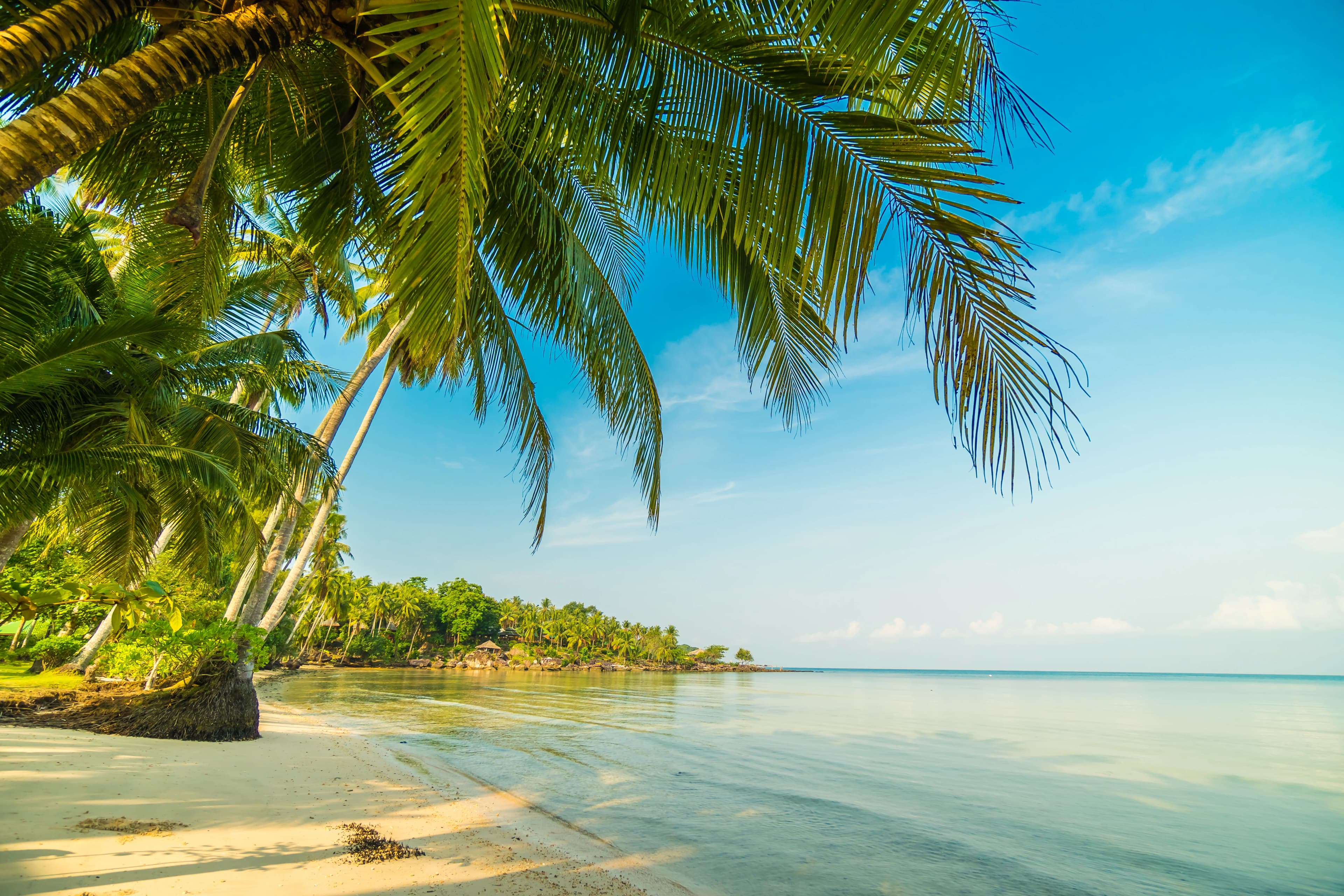 Playa caribeña